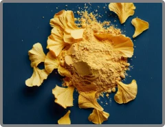 Ginkgo Biloba Powder ingredient illustration
